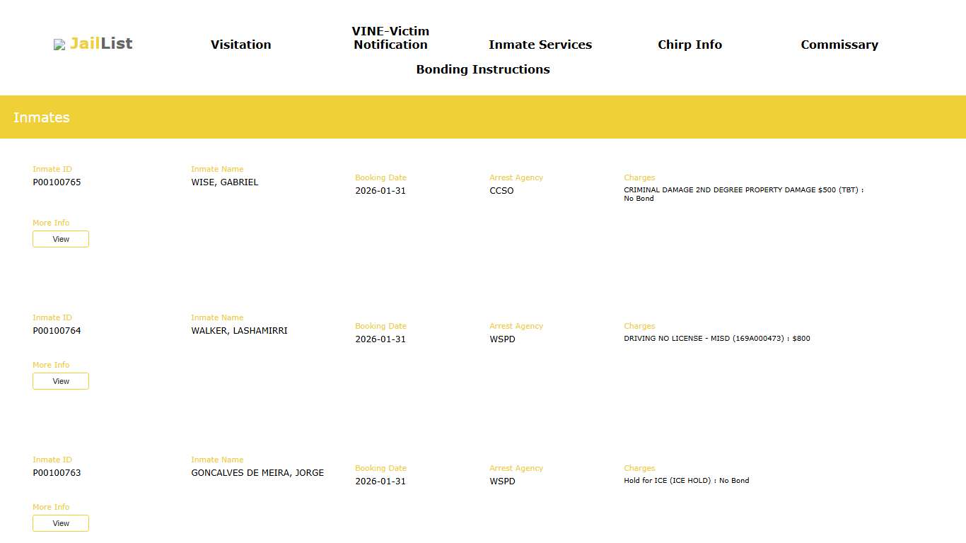 Cherokee County Inmate Search